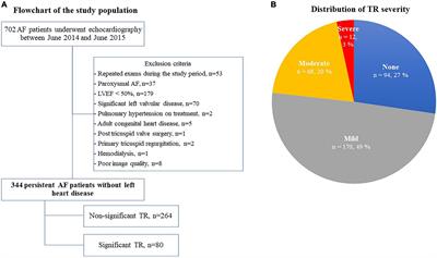 Incidence of atrial functional tricuspid regurgitation and its correlation with tricuspid valvular deformation in patients with persistent atrial fibrillation